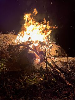 A bright fire roaring under leaning branches beside a rocky ledge
