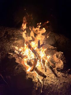 Orange flames climbing through a pile of split wood at night
